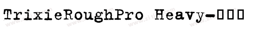 TrixieRoughPro Heavy字体转换